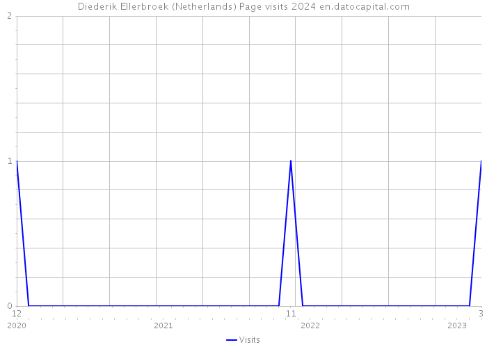 Diederik Ellerbroek (Netherlands) Page visits 2024 