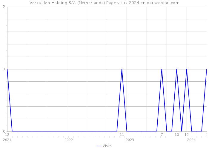 Verkuijlen Holding B.V. (Netherlands) Page visits 2024 