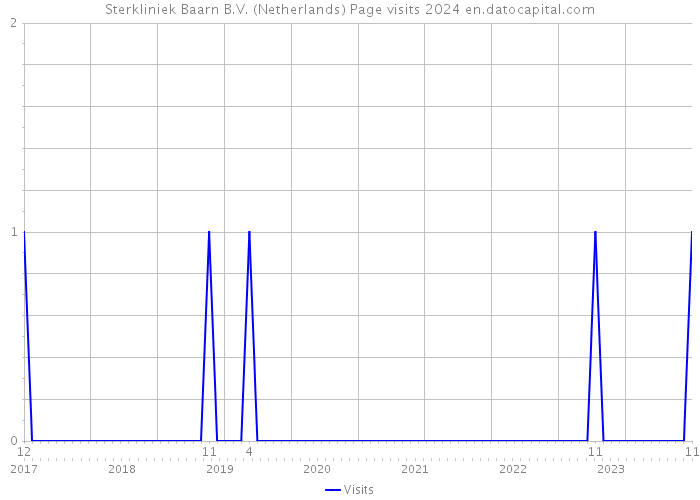 Sterkliniek Baarn B.V. (Netherlands) Page visits 2024 