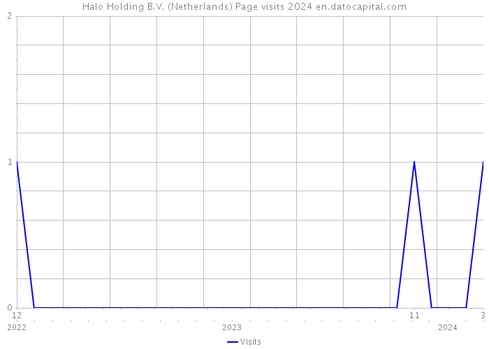 Halo Holding B.V. (Netherlands) Page visits 2024 