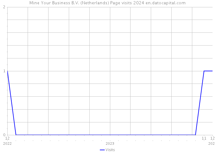 Mine Your Business B.V. (Netherlands) Page visits 2024 