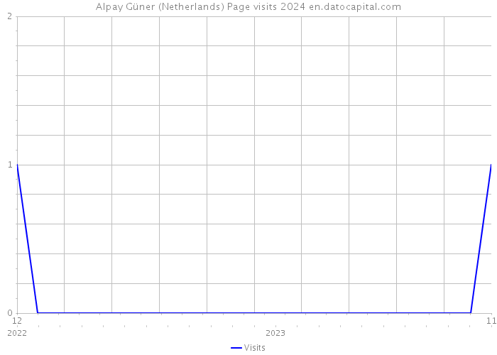 Alpay Güner (Netherlands) Page visits 2024 
