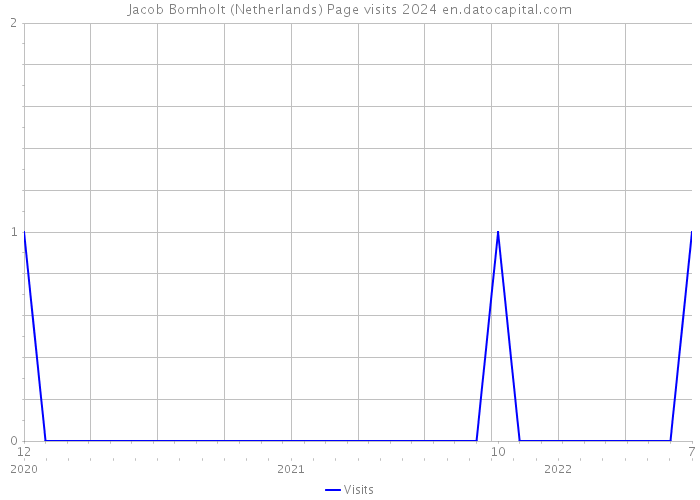 Jacob Bomholt (Netherlands) Page visits 2024 