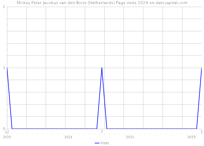 Mickey Peter Jacobus van den Borst (Netherlands) Page visits 2024 