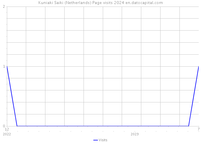 Kuniaki Saiki (Netherlands) Page visits 2024 