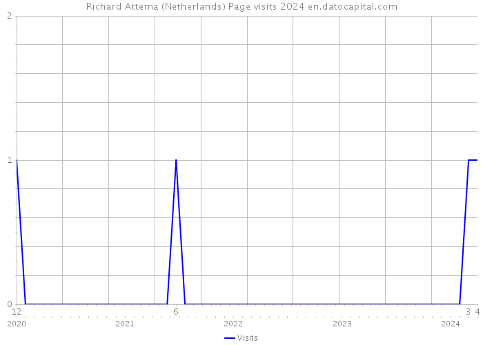 Richard Attema (Netherlands) Page visits 2024 