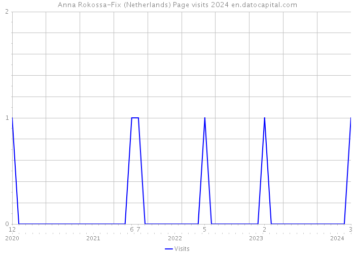 Anna Rokossa-Fix (Netherlands) Page visits 2024 
