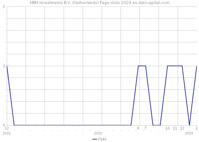 HBM Investments B.V. (Netherlands) Page visits 2024 