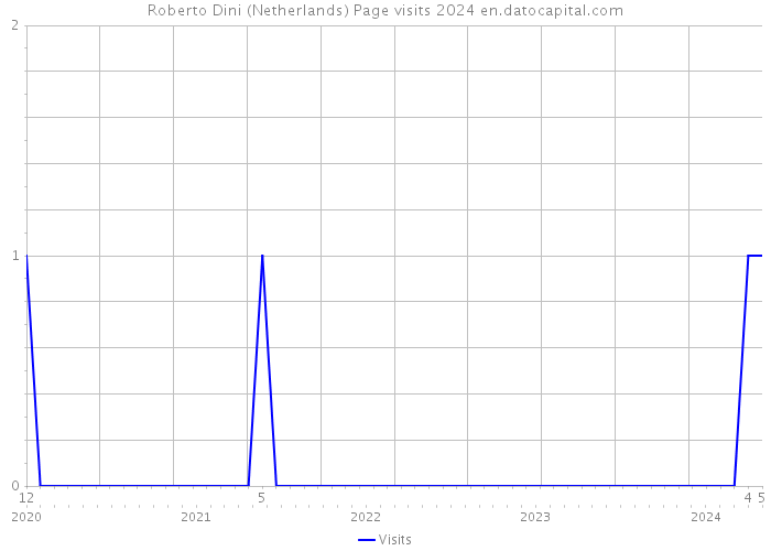 Roberto Dini (Netherlands) Page visits 2024 