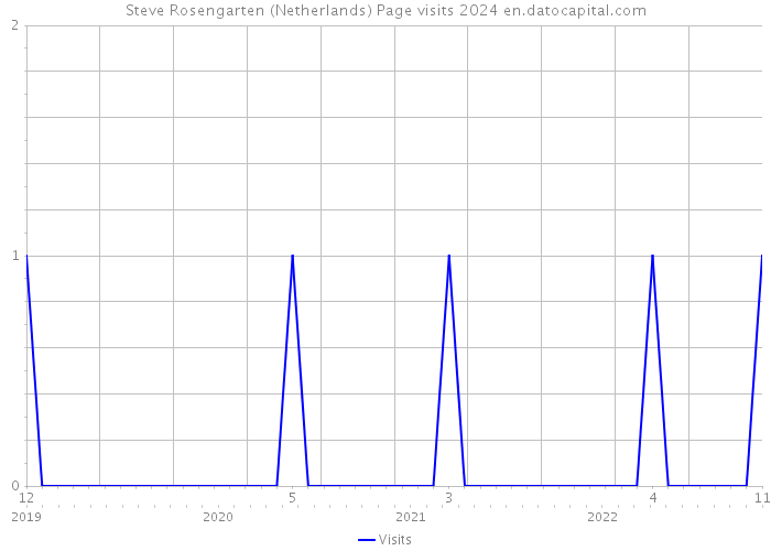 Steve Rosengarten (Netherlands) Page visits 2024 