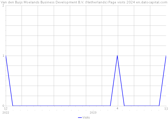 Van den Buijs Moelands Business Development B.V. (Netherlands) Page visits 2024 