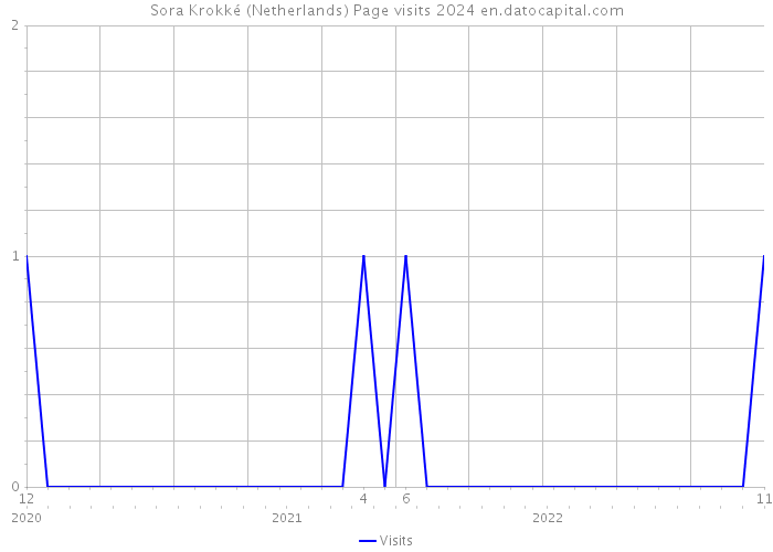 Sora Krokké (Netherlands) Page visits 2024 