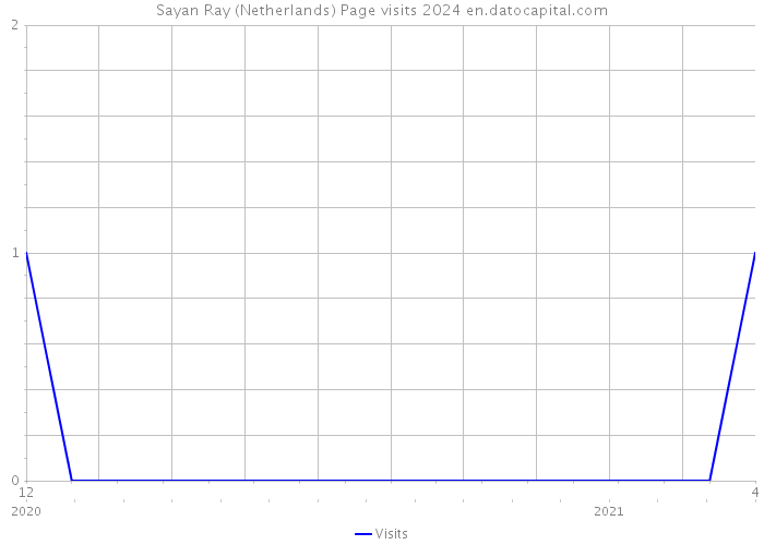Sayan Ray (Netherlands) Page visits 2024 