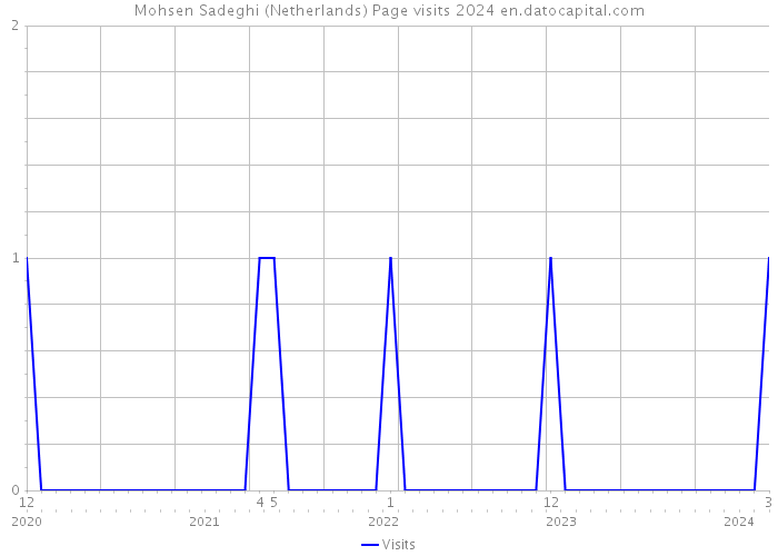 Mohsen Sadeghi (Netherlands) Page visits 2024 