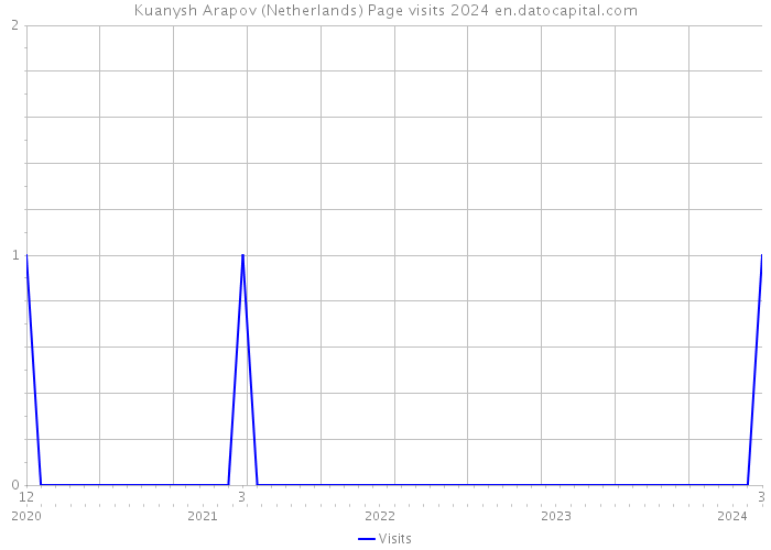 Kuanysh Arapov (Netherlands) Page visits 2024 