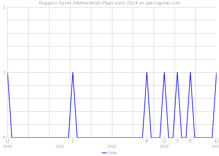 Ruggero Aprile (Netherlands) Page visits 2024 