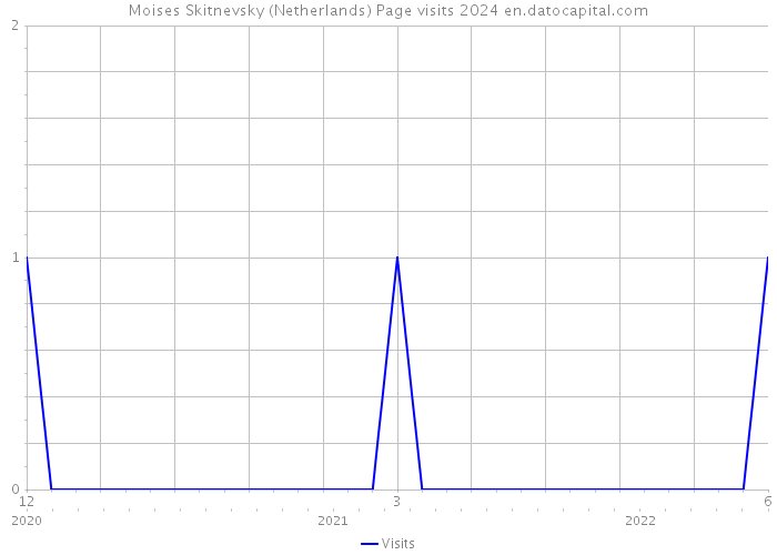 Moises Skitnevsky (Netherlands) Page visits 2024 