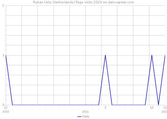 Rukan Uslu (Netherlands) Page visits 2024 