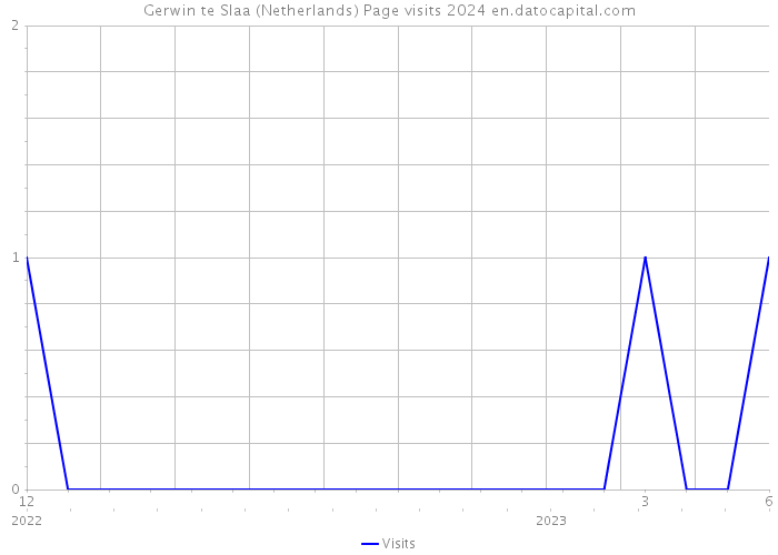 Gerwin te Slaa (Netherlands) Page visits 2024 