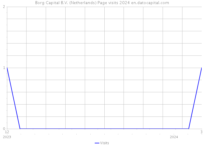 Borg Capital B.V. (Netherlands) Page visits 2024 