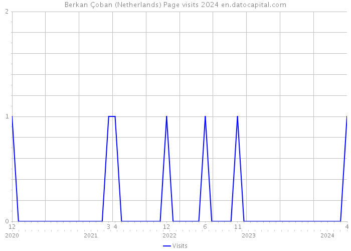 Berkan Çoban (Netherlands) Page visits 2024 