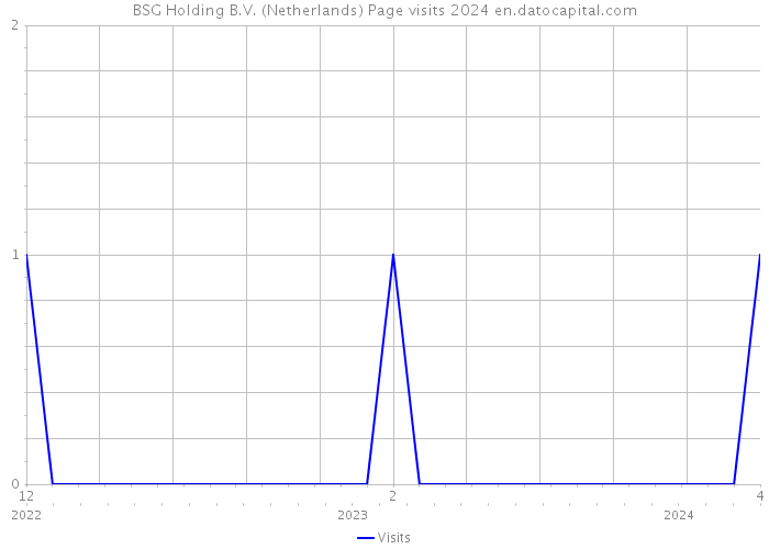BSG Holding B.V. (Netherlands) Page visits 2024 