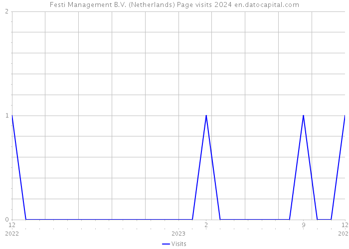 Festi Management B.V. (Netherlands) Page visits 2024 