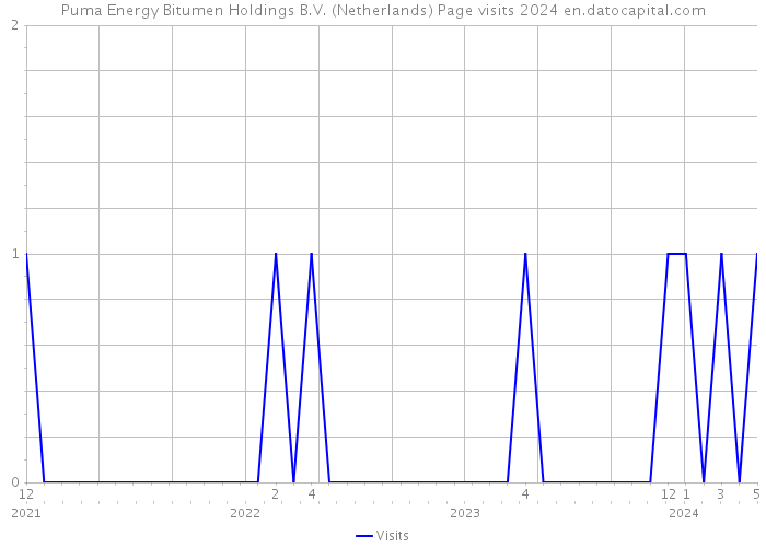 Puma Energy Bitumen Holdings B.V. (Netherlands) Page visits 2024 