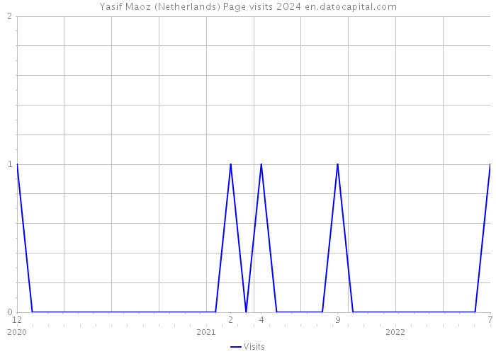 Yasif Maoz (Netherlands) Page visits 2024 