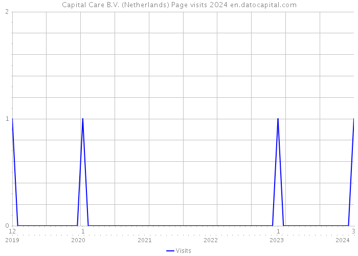 Capital Care B.V. (Netherlands) Page visits 2024 