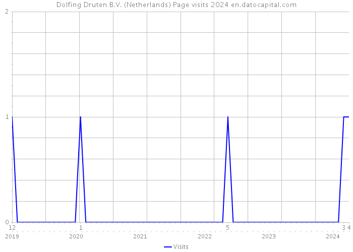 Dolfing Druten B.V. (Netherlands) Page visits 2024 