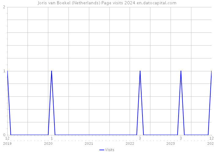 Joris van Boekel (Netherlands) Page visits 2024 