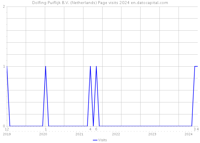 Dolfing Puiflijk B.V. (Netherlands) Page visits 2024 