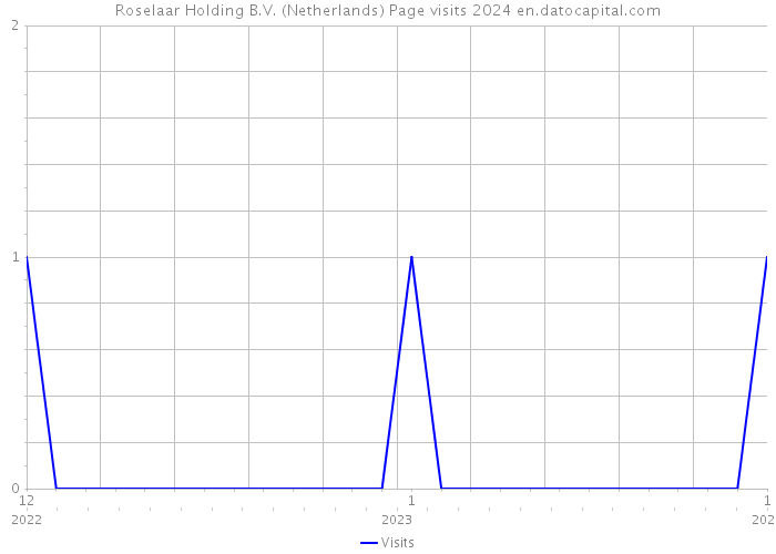 Roselaar Holding B.V. (Netherlands) Page visits 2024 