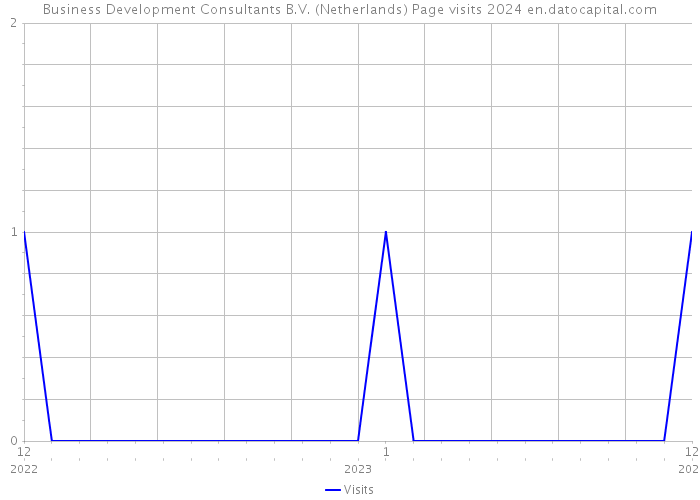 Business Development Consultants B.V. (Netherlands) Page visits 2024 