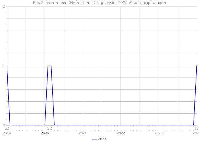 Roy Schoonhoven (Netherlands) Page visits 2024 