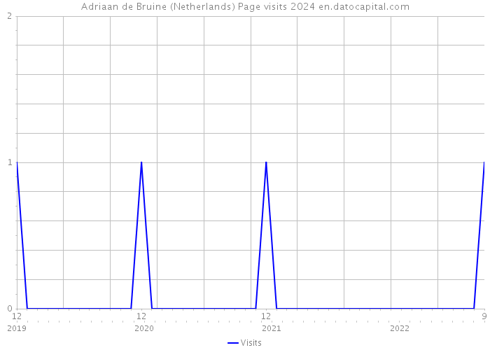 Adriaan de Bruine (Netherlands) Page visits 2024 