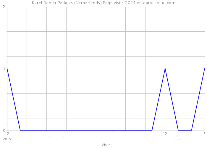 Karel Romet Pedajas (Netherlands) Page visits 2024 