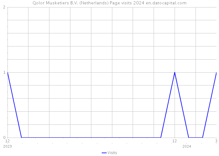 Qolor Musketiers B.V. (Netherlands) Page visits 2024 