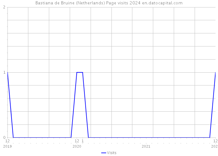 Bastiana de Bruine (Netherlands) Page visits 2024 