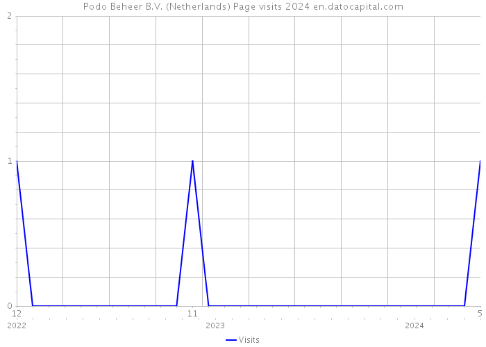 Podo Beheer B.V. (Netherlands) Page visits 2024 