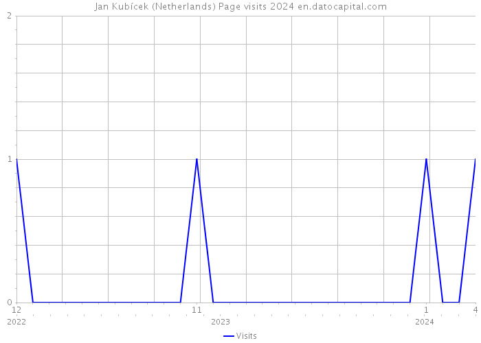 Jan Kubícek (Netherlands) Page visits 2024 