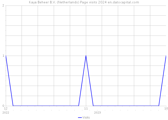 Kaya Beheer B.V. (Netherlands) Page visits 2024 