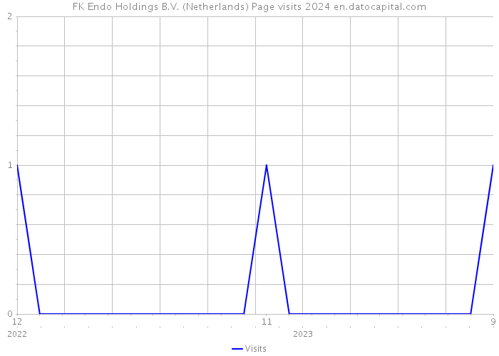 FK Endo Holdings B.V. (Netherlands) Page visits 2024 