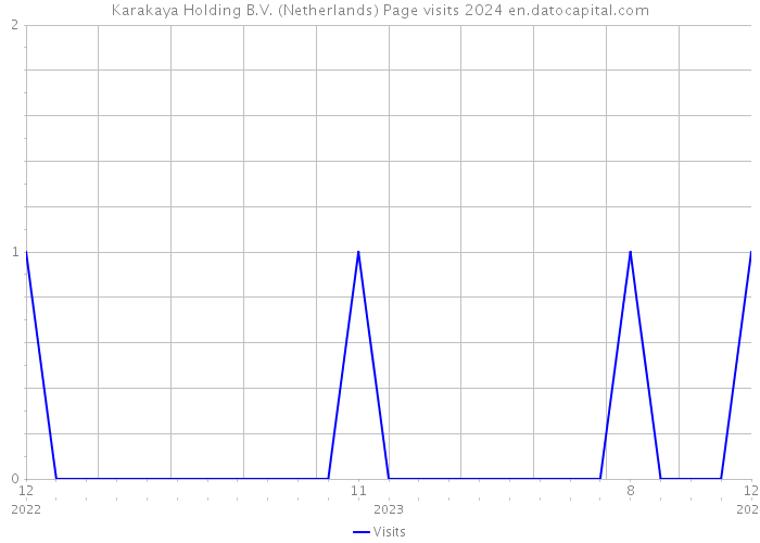 Karakaya Holding B.V. (Netherlands) Page visits 2024 