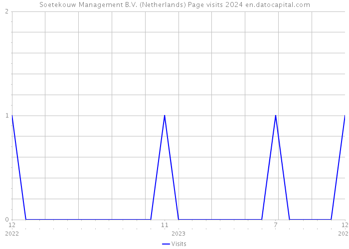 Soetekouw Management B.V. (Netherlands) Page visits 2024 