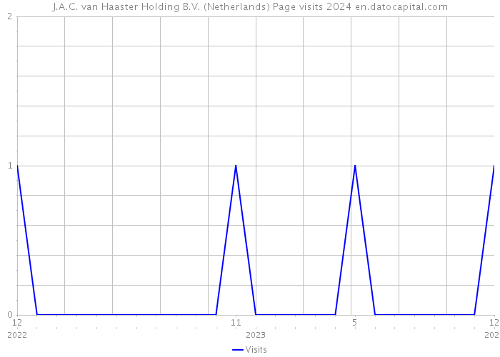 J.A.C. van Haaster Holding B.V. (Netherlands) Page visits 2024 
