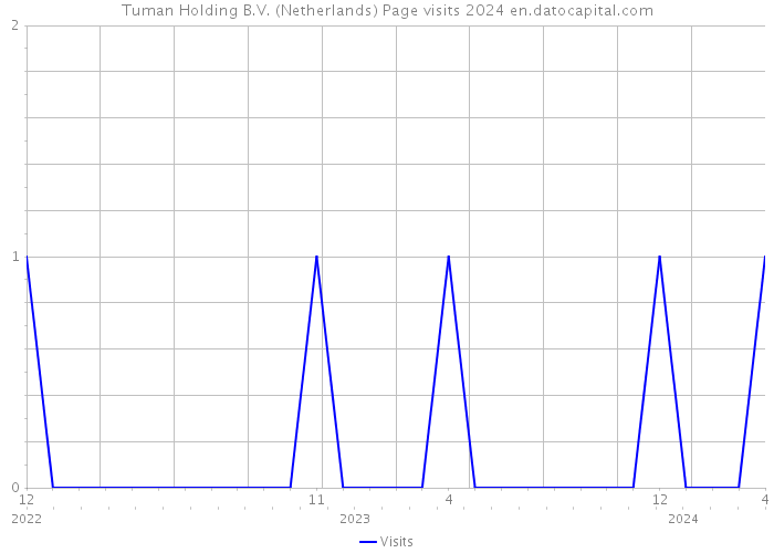 Tuman Holding B.V. (Netherlands) Page visits 2024 