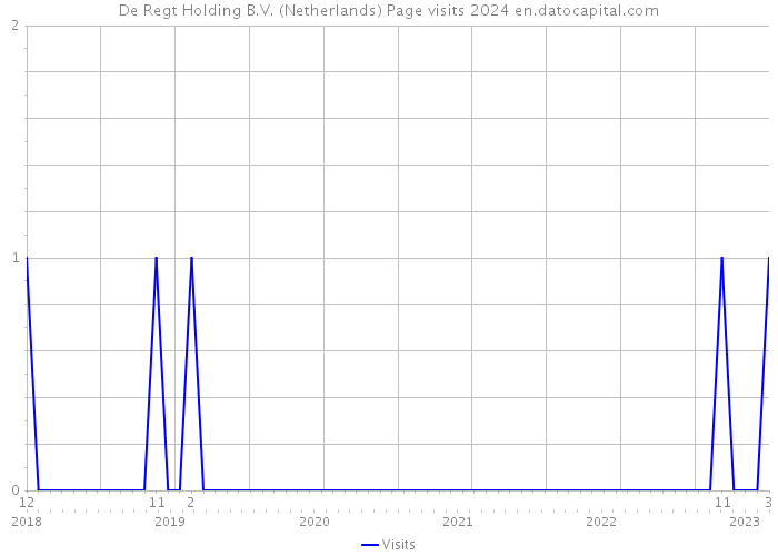 De Regt Holding B.V. (Netherlands) Page visits 2024 