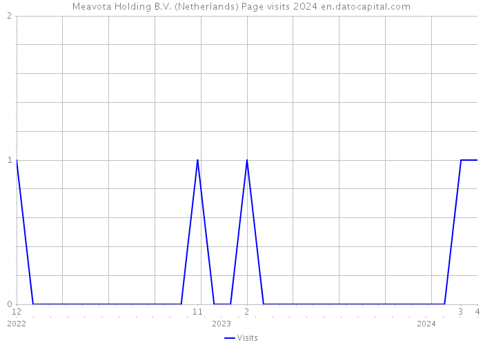 Meavota Holding B.V. (Netherlands) Page visits 2024 